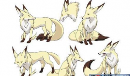 动漫狐,探寻神秘狐仙的奇幻之旅