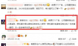 吃瓜娱乐圈缩写小说,瓜田里的明星秘闻